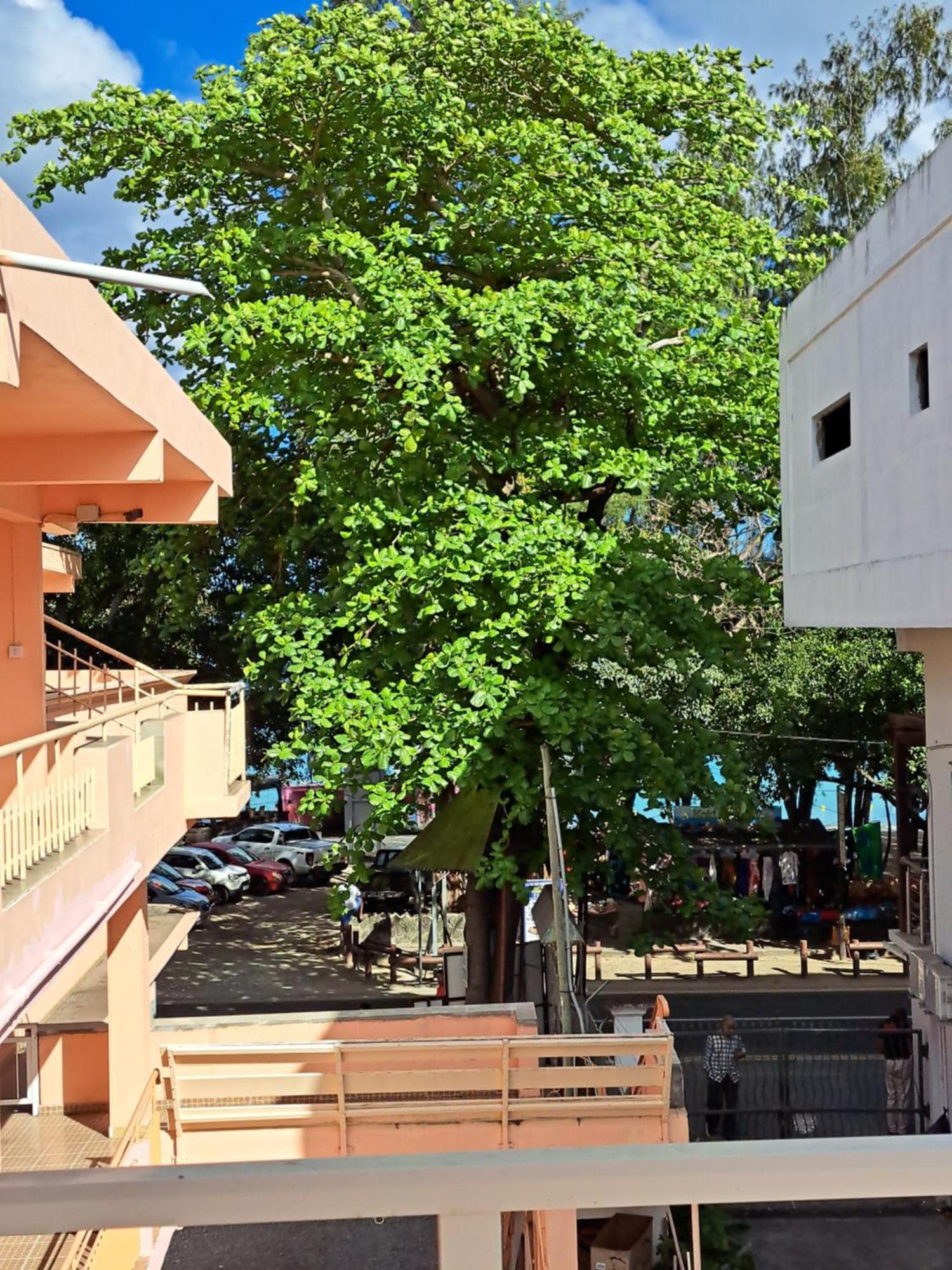 Bano Beach Residence - Grand Bay Beach エクステリア 写真